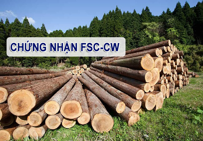 Chứng chỉ FSC đối với sản xuất pallet gỗ công nghiệp